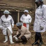 How Farmers Can Fight Growing Antimicrobial Resistance