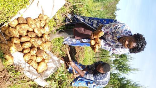 Major Towns Hit By Acute Shortage Of Fresh Produce