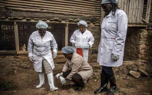 How Farmers Can Fight Growing Antimicrobial Resistance