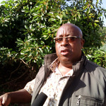 Don't Break The Law By Embracing Handshake, MP Urges Ruto
