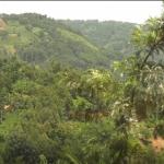 Meru: 18-Year-Old Girl Who Left Home To Live With Boyfriend Found Dead, Head Chopped Off