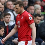 Forest Striker Wood Out For Rest Of The Season