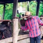 Veterinary Doctor Job Advertisement – Andys Veterinary Clinic