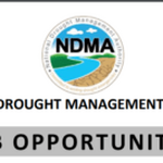 NDMA Hiring – Resource Mobilisation And Partnerships Manager