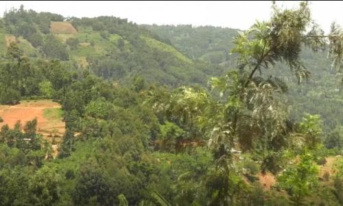 Meru: 18-Year-Old Girl Who Left Home To Live With Boyfriend Found Dead, Head Chopped Off