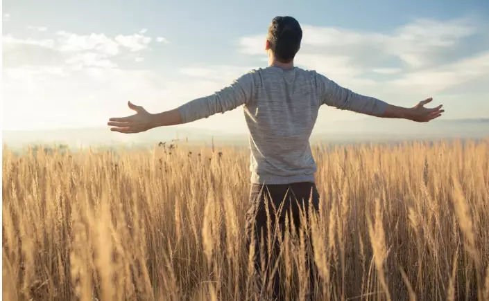 The 50% Rule: Why Active Surrender Is The Ultimate Career Power Move