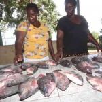 Government Moves To Increase Earnings From Fishing Sector