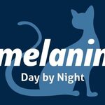 Melani Club Hiring In Nairobi : Waiters, Stewards And Chef