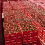 How Two Words Cost KRA Sh900m Case Against Coca Cola Company