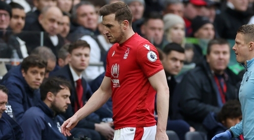 Forest Striker Wood Out For Rest Of The Season