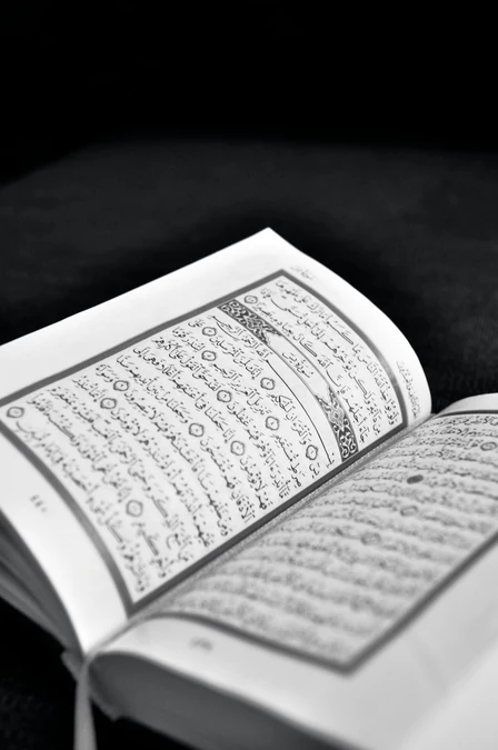 From the First Arabic Letter to a Finished Hafiz: The Complete Journey at Tibyan Institute