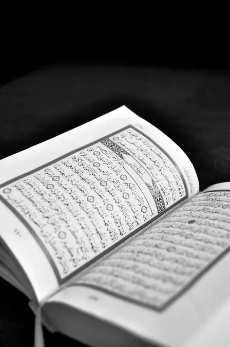 From the First Arabic Letter to a Finished Hafiz: The Complete Journey at Tibyan Institute