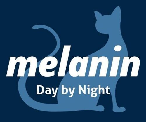 Melani Club Hiring In Nairobi : Waiters, Stewards And Chef