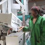 KRA To Lose Billions As State Firm Gets Nod To Import Duty-Free Food