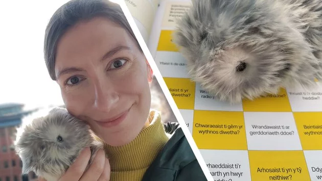 Moflin Wins Hearts With Its Surprisingly Emotional Robot Pet Charm