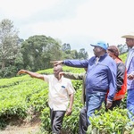 Gachagua To Convene Conference On Coffee, Tea Reforms