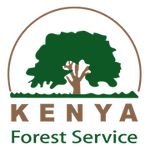 Kenya Forest Service Recruiting Green Army
