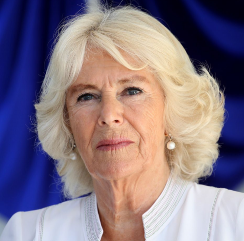Queen Consort Camilla Tests Positive For Covid