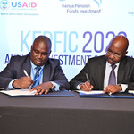 Pension Funds And Managers Partner To Diversify Investments