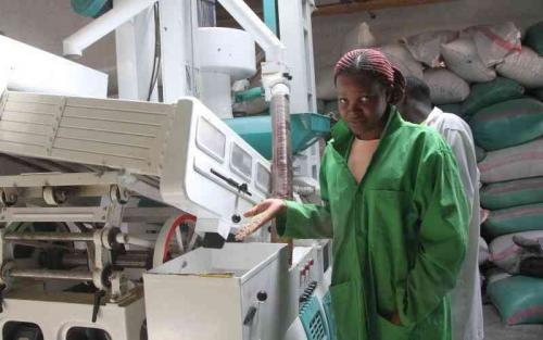 KRA To Lose Billions As State Firm Gets Nod To Import Duty-Free Food