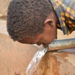 Parched: 60 Per Cent Rivers, Streams Dry Up As Drought Ravages Region