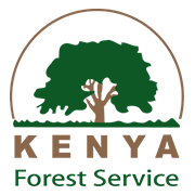 Kenya Forest Service Recruiting Green Army