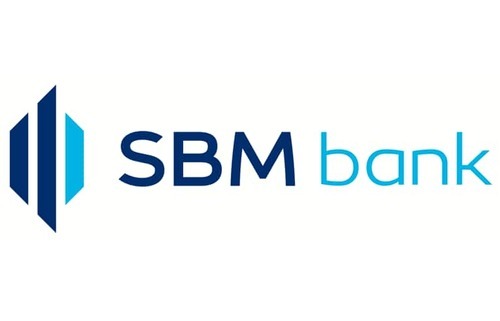 Business Projects Manager Needed