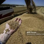 EU Urges G20 Pressure On Russia To Restart Grain Deal