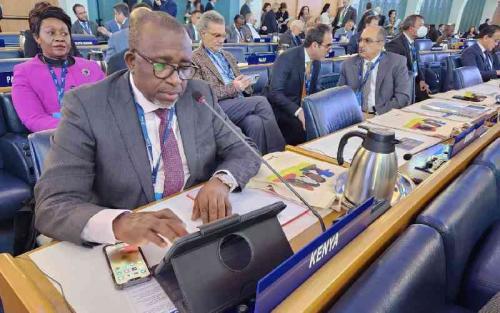 Food Security Is Kenya's Top Agenda, Linturi Tells Global Summit