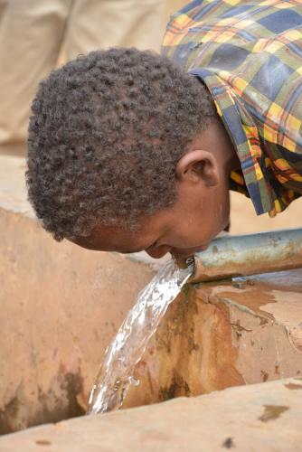 Parched: 60 Per Cent Rivers, Streams Dry Up As Drought Ravages Region