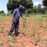 Forecast: Dry Spell To Continue Until May