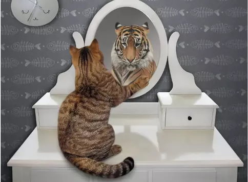 Are Narcissistic Leaders Actually Insecure?