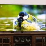 LG TV Spying Claims: Every Smart TV Tracks You, Not Just LG