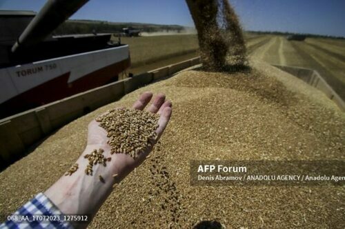 EU Urges G20 Pressure On Russia To Restart Grain Deal