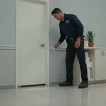 How to Protect Your Workplace From Common Pest Problems