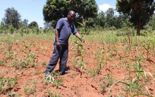 Forecast: Dry Spell To Continue Until May