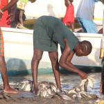 Let's Go To Turkana - Unearthing Four Hidden Gems