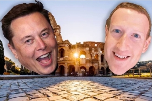 Okay, Fine, I Want Elon Musk And Mark Zuckerberg To Fight