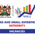 External Advertisement Open At Micro And Small Enterprises Authority (MSEA) 10 Positions