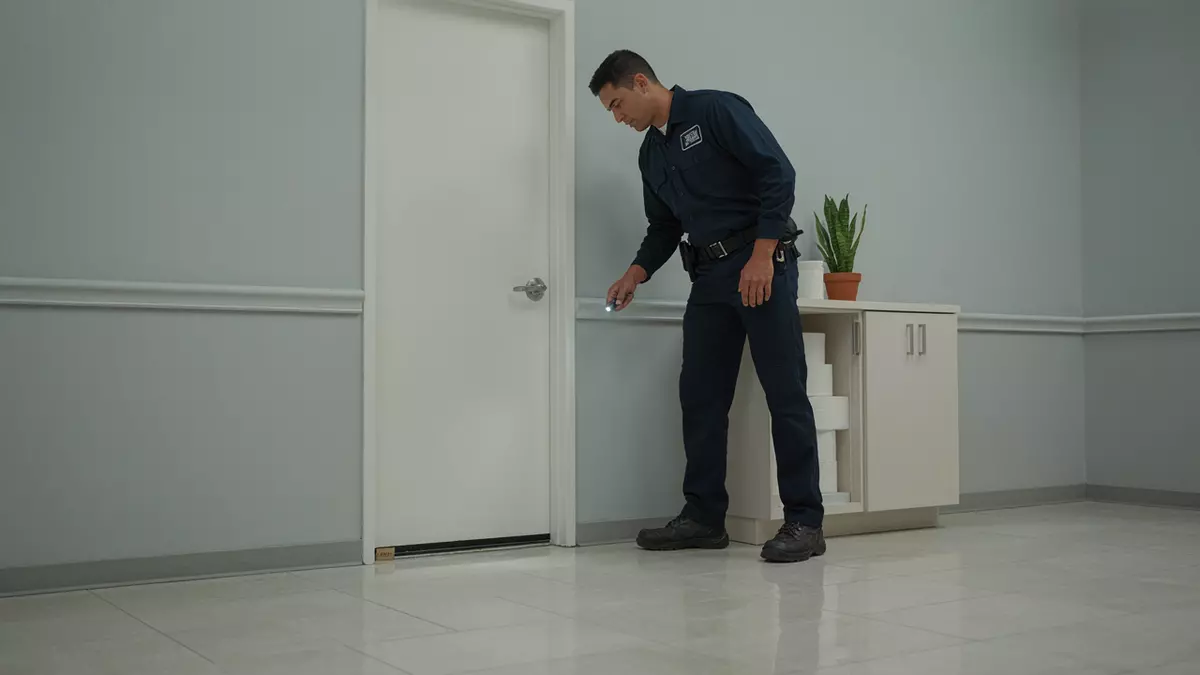 How to Protect Your Workplace From Common Pest Problems