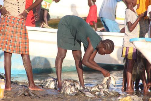Let's Go To Turkana - Unearthing Four Hidden Gems