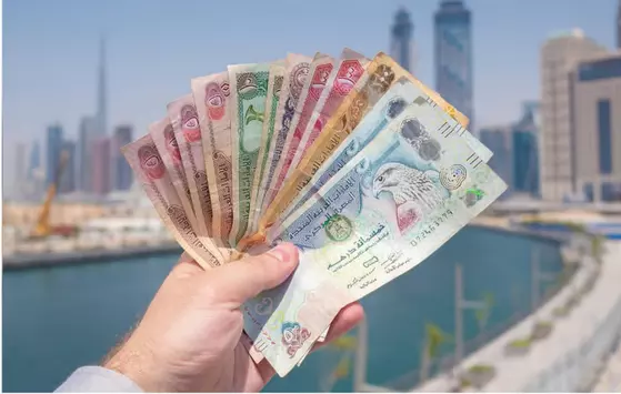 UAE: Minimum salary rule to boost Emiratis' pay; focus now on hybrid jobs