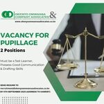 Pupillage Vacancy Open At Okenyo Omwansa Advocates