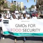 Groups Back Lifting Of Ban On GMO Foods