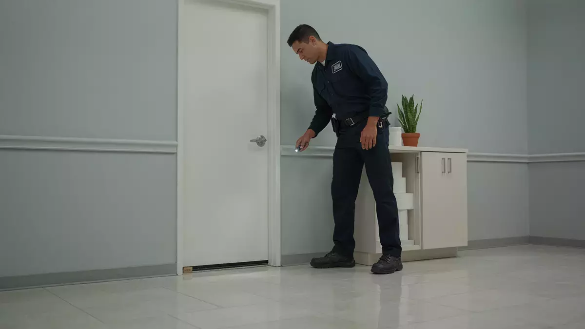 How to Protect Your Workplace From Common Pest Problems