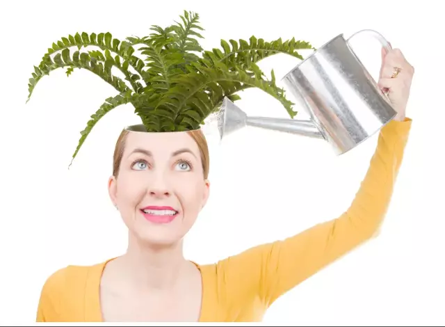 Water Yourself With ‘Tallcomings’ To Offset Stress And Grow Balance