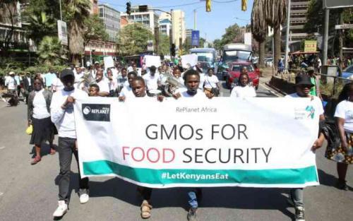 Groups Back Lifting Of Ban On GMO Foods