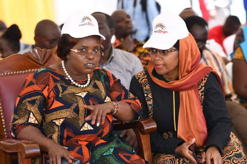 State To Review Tourism Policy To Revive Sector - CS Malonza