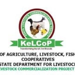 Kenya Livestock Commercialization Project (KeLCoP) Hiring Financial Assistant