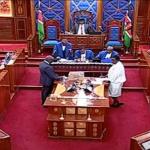 Senate Approves IEBC Amendment Bill, Paves Way For Recruitment Of New Commissioners